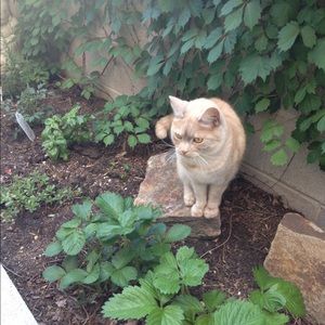 Meet your Posher, Vera